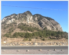  2021Ÿ��3863 ���� �������� �ȴ��� ��踮 451      ����(�Ӿ�)���