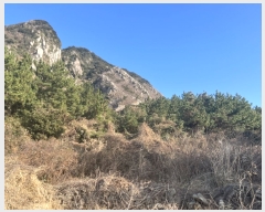  2021Ÿ��3863 ���� �������� �ȴ��� ��踮 451      ����(�Ӿ�)���