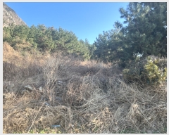  2021Ÿ��3863 ���� �������� �ȴ��� ��踮 451      ����(�Ӿ�)���