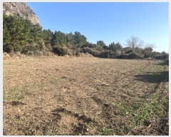  2021Ÿ��3863 ���� �������� �ȴ��� ��踮 451      ����(�Ӿ�)���