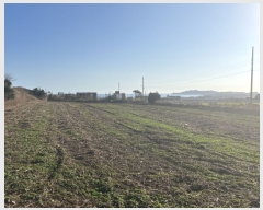  2021Ÿ��3863 ���� �������� �ȴ��� ��踮 451      ����(�Ӿ�)���