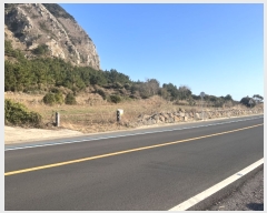  2021Ÿ��3863 ���� �������� �ȴ��� ��踮 451      ����(�Ӿ�)���