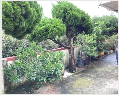  2021Ÿ4224    Ϸʸ 63-1      ð