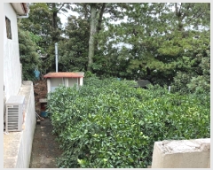  2021Ÿ4224    Ϸʸ 63-1      ð