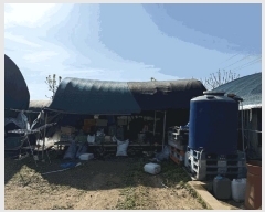  2021Ÿ��6774  ����