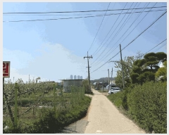  2021Ÿ��6774  ����