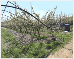  2021Ÿ��6774  ����