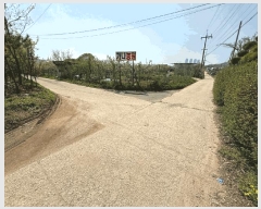  2021Ÿ��6774  ����