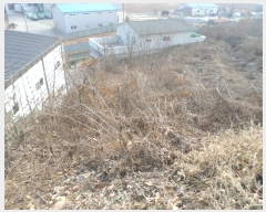  2021Ÿ71952   ϻ굿  1007-1      ,â