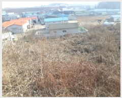  2021Ÿ71952   ϻ굿  1007-1      ,â