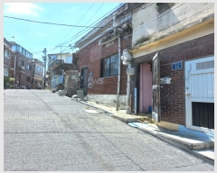  2022Ÿ2460  α ŵ 1-174       ð