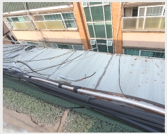  2022Ÿ��56705 ���� ������ �ھ��44�ٱ� 29, 4��402ȣ      �ټ���,������