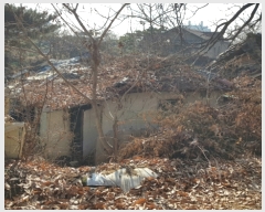  2022Ÿ��57401  �������