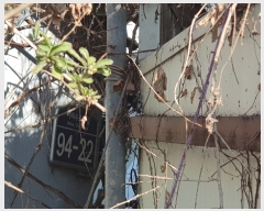  2022Ÿ��57401  �������