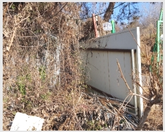  2022Ÿ��57401  �������