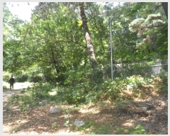  2022Ÿ��105214 ���� ���ϱ� ������ ��121       ����(�Ӿ�)���