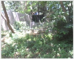  2022Ÿ��105214 ���� ���ϱ� ������ ��121       ����(�Ӿ�)���