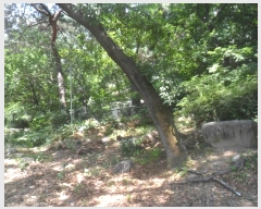  2022Ÿ��105214 ���� ���ϱ� ������ ��121       ����(�Ӿ�)���