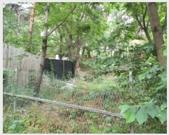  2022Ÿ��105214 ���� ���ϱ� ������ ��121       ����(�Ӿ�)���