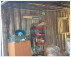  2022Ÿ3717  õ źϸ  319      ()