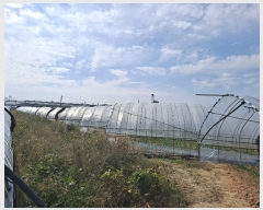  2022Ÿ��4604 ��� ��õ�� ����� ������ 626-3      ����(��)���