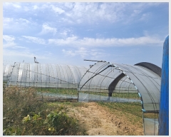  2022Ÿ��4604 ��� ��õ�� ����� ������ 626-3      ����(��)���