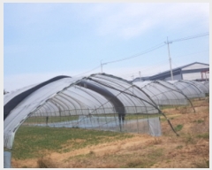  2022Ÿ��4604 ��� ��õ�� ����� ������ 626-3      ����(��)���