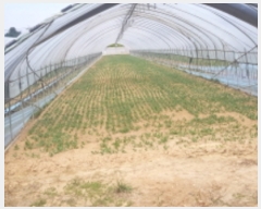  2022Ÿ��4604 ��� ��õ�� ����� ������ 626-3      ����(��)���