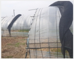  2022Ÿ��4604 ��� ��õ�� ����� ������ 626-3      ����(��)���