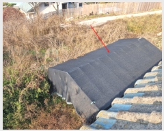  2022Ÿ��80288  ���ð��