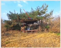  2022Ÿ��80288  ���ð��