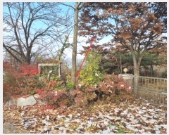  2022Ÿ��80288  ���ð��