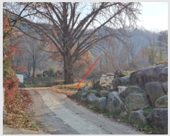  2022Ÿ��80288  ���ð��