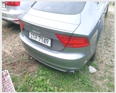  2022Ÿ��80110 ��� �����ν� �Ű ���Ƿ�177���� 21(�Ű)      �������