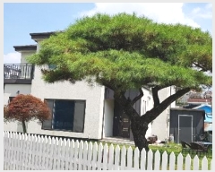  2022Ÿ��3199  ���ð��