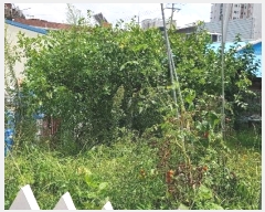  2022Ÿ��3199  ���ð��