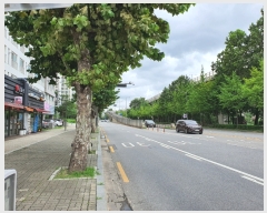  2022Ÿ54435  빮 𷡳 151, 9924ȣ (µ,𿥾101)     Ʈ