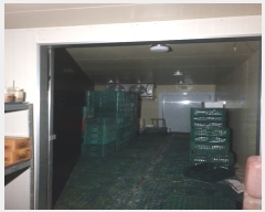  2022Ÿ��3655 ��õ ����Ȧ�� �������50���� 19-2       ������