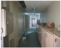  2022Ÿ��3655 ��õ ����Ȧ�� �������50���� 19-2       ������