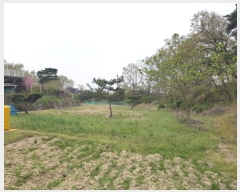  2022Ÿ4030 õ ȭ  âĸ 803-1      (1)