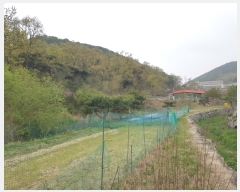  2022Ÿ4030 õ ȭ  âĸ 803-1      (1)