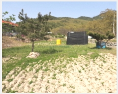  2022Ÿ4030 õ ȭ  âĸ 803-1      (1)