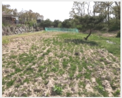  2022Ÿ4030 õ ȭ  âĸ 803-1      (1)