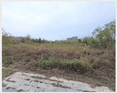  2022Ÿ��529539  �������