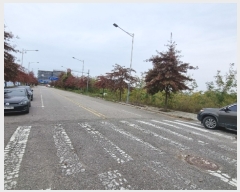  2022Ÿ��529539  �������