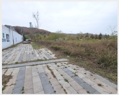  2022Ÿ��529539  �������