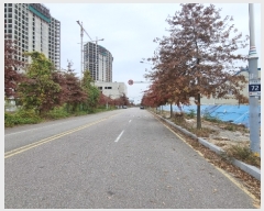  2022Ÿ��529539  �������