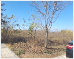  2022Ÿ��529539  �������