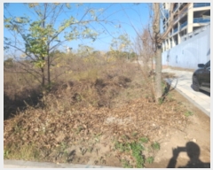  2022Ÿ��529539  �������