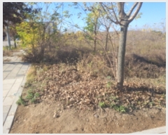  2022Ÿ��529539  �������